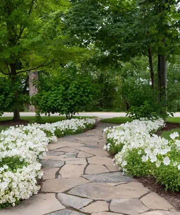Stone path through a garden, lined with white petunias, under leafy trees.