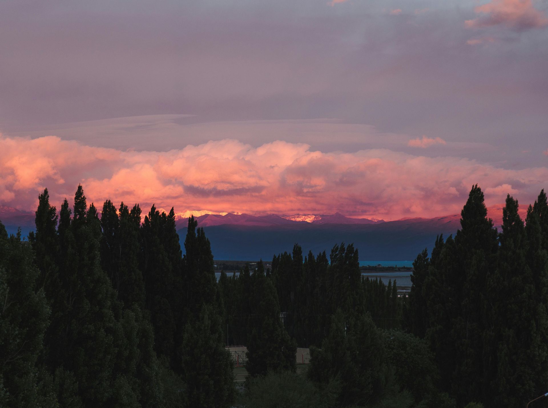 Pink and purple sunset over a dark forest, silhouetted trees in the foreground, horizon in the background.