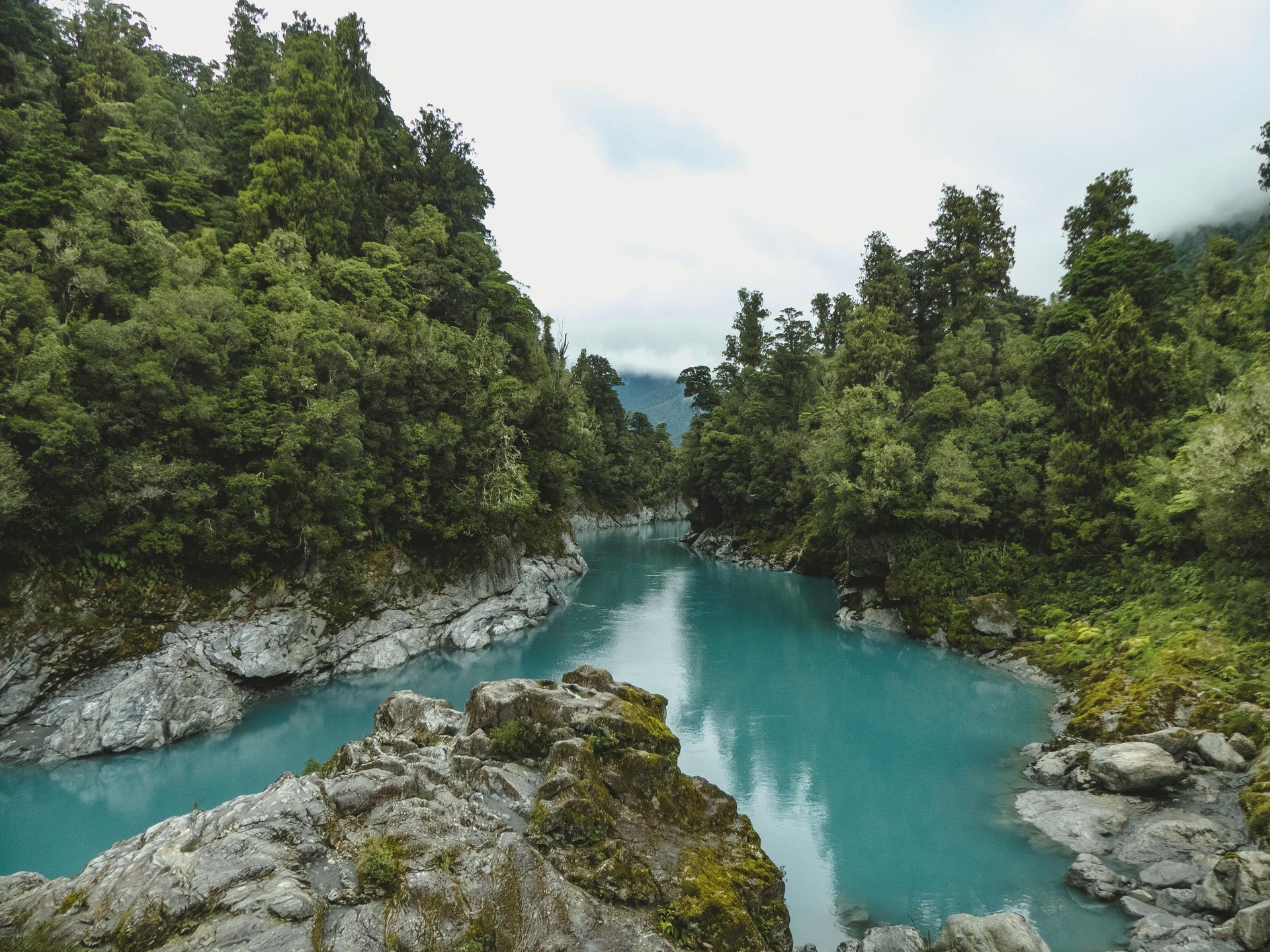Turquoise river flowing through lush green forest, overcast sky.