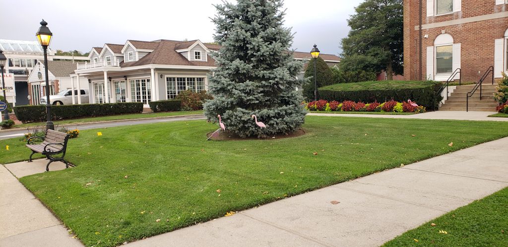 Before Rain Garden, looking east.