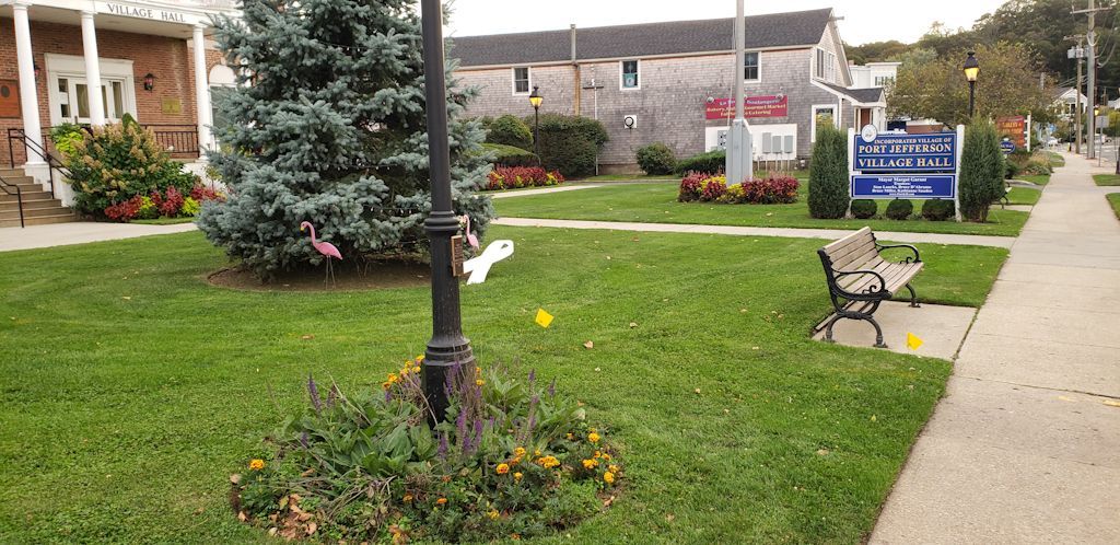 Before Rain Garden, looking west.