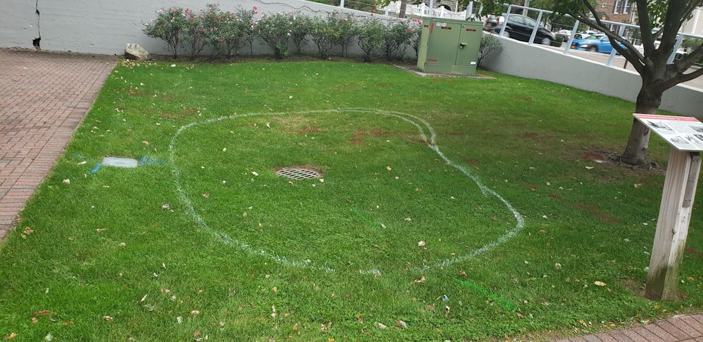 Start of installation of Garden.