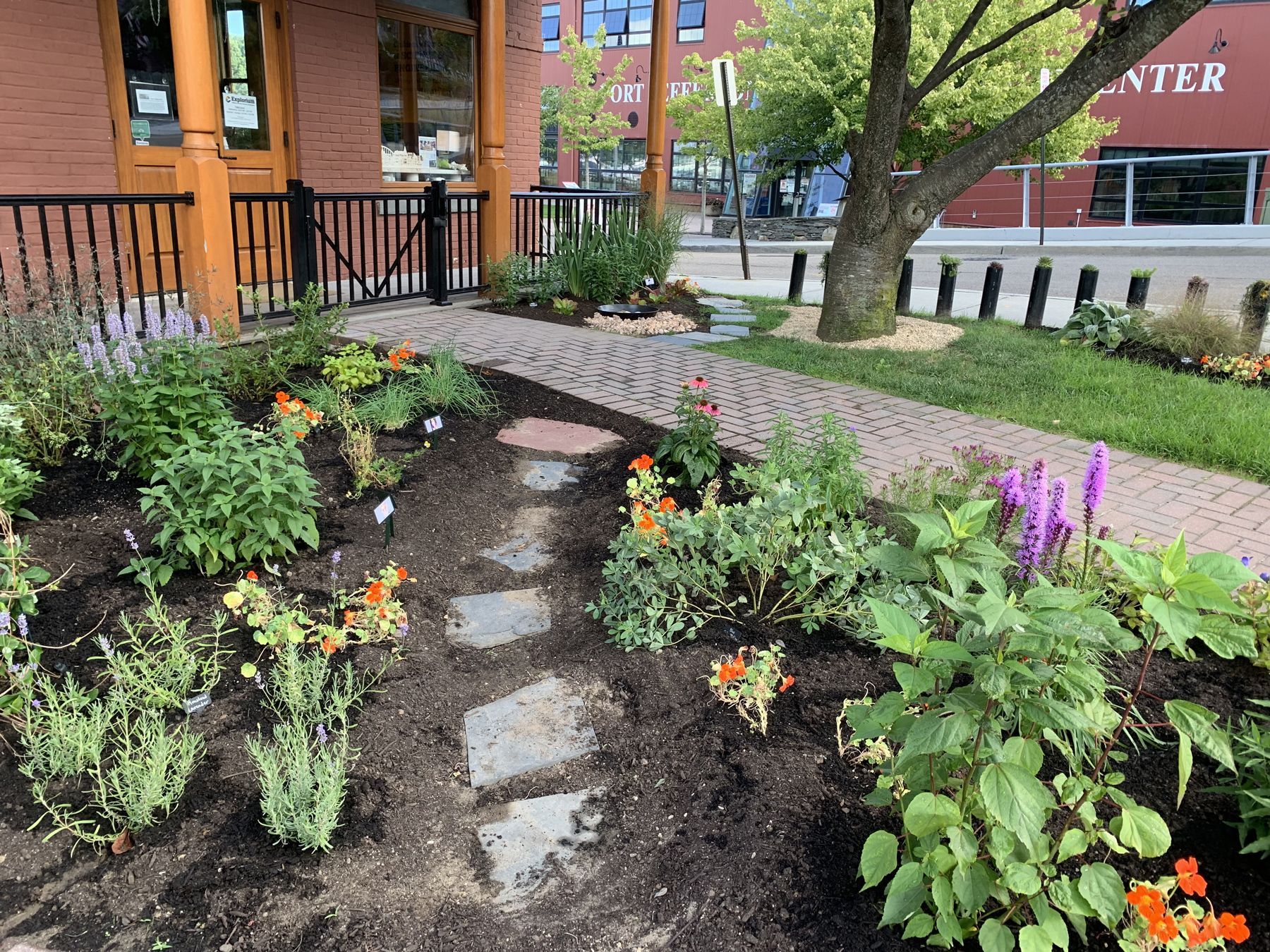 Walk through Sensory Garden