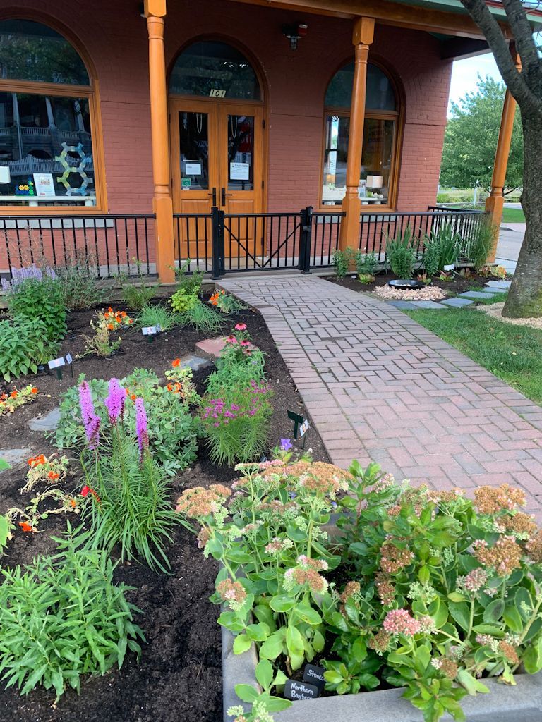 Sensory Garden
