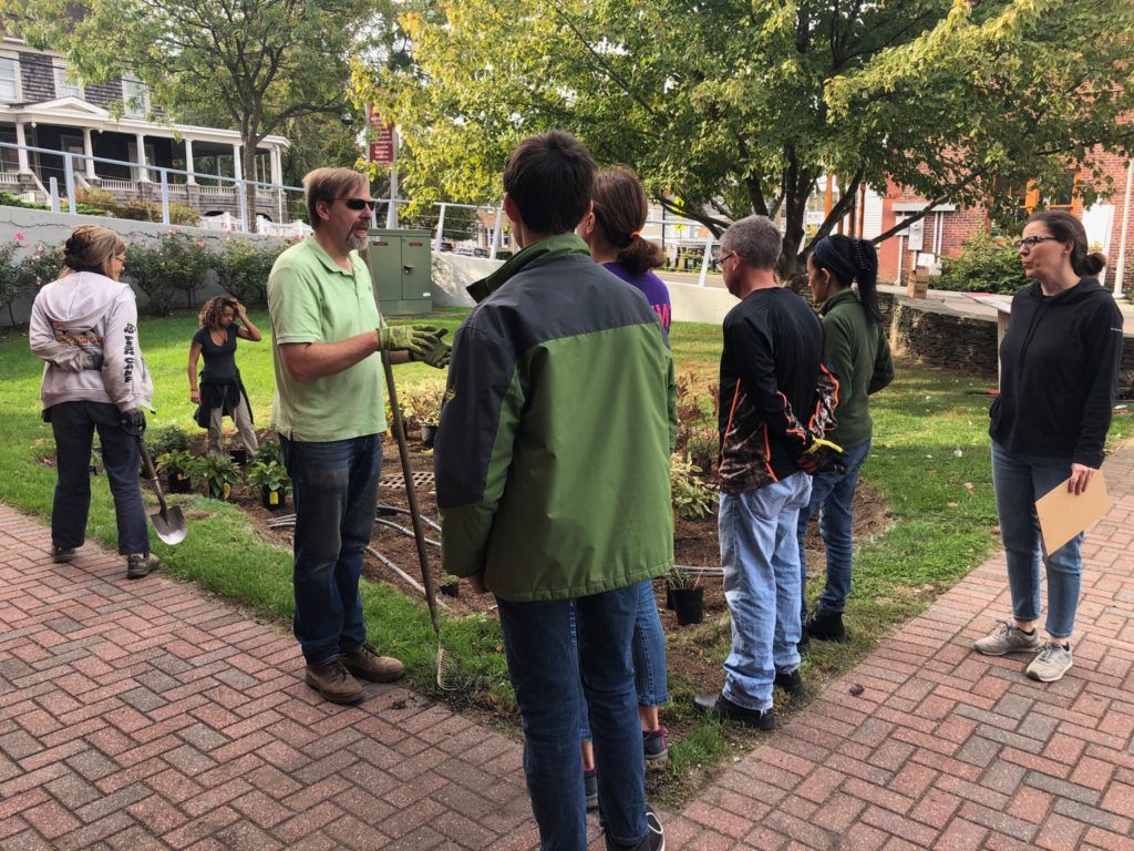Planting with volunteers and staff.