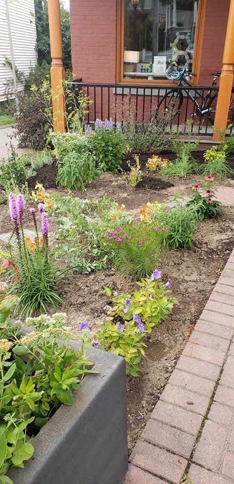 Close up of the garden