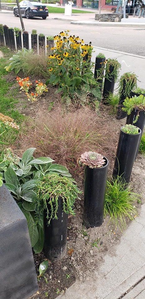 Close up of the garden