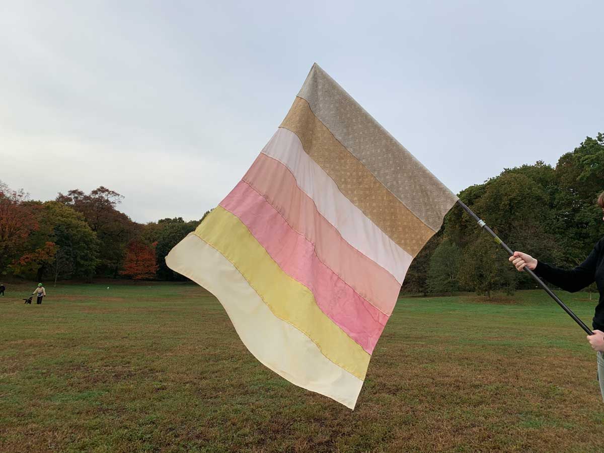 NYflag