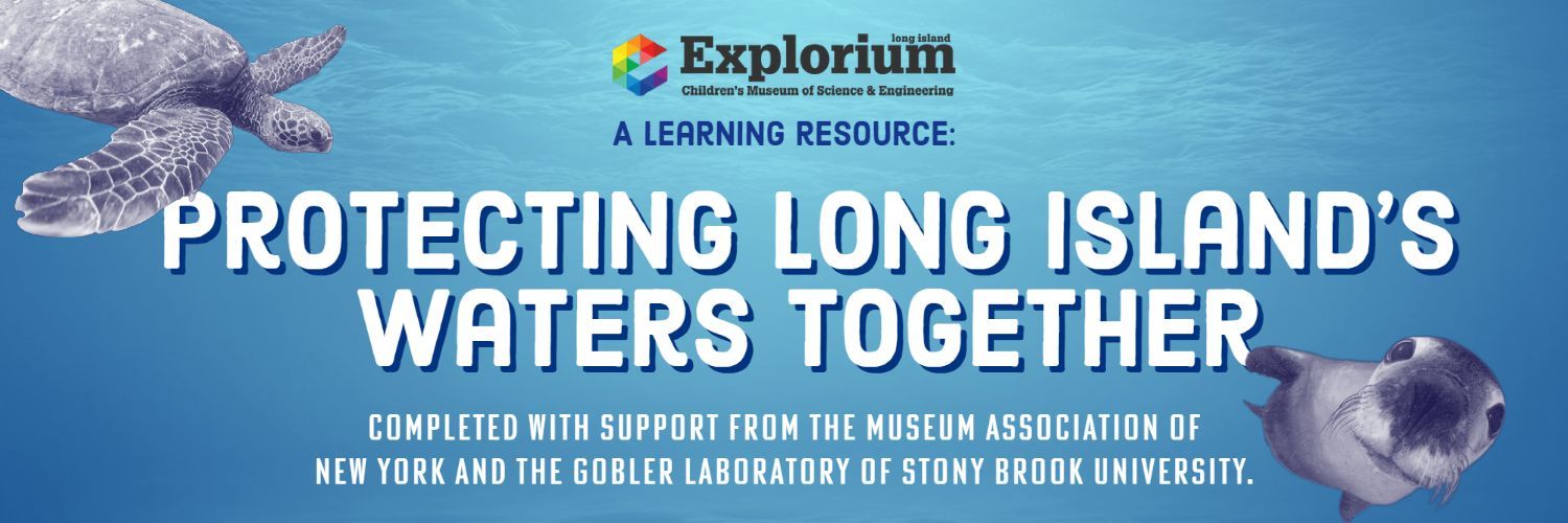 Protecting Long Island's Waters Together header image showing a water background