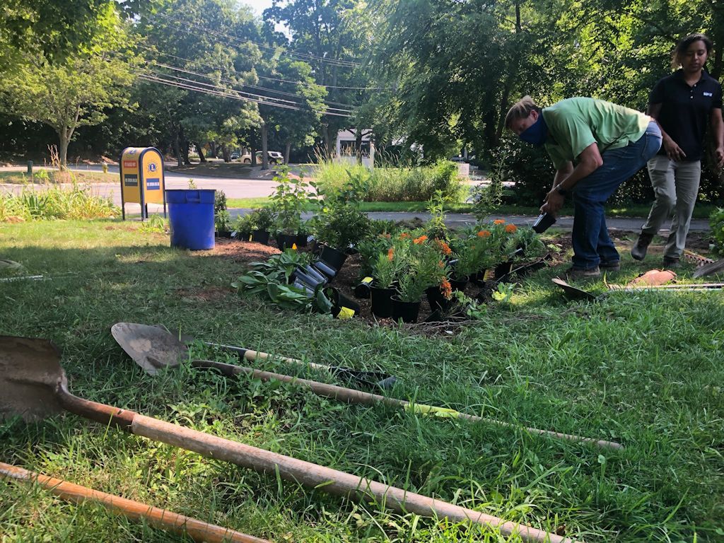 Placing the plants according to the plan