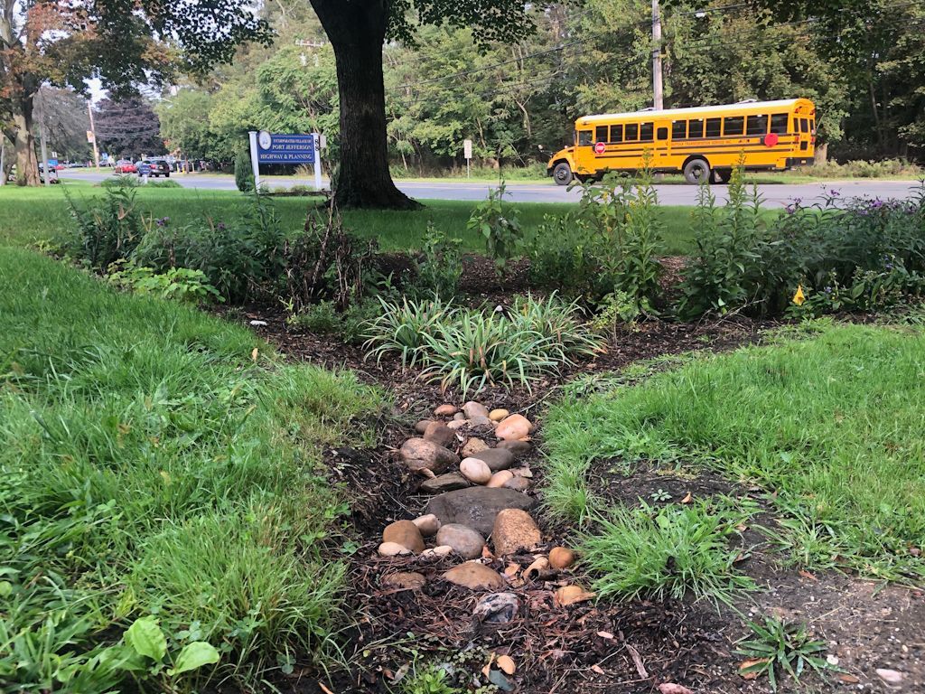 A channel with rocks directs water from the pavement to the rain garden