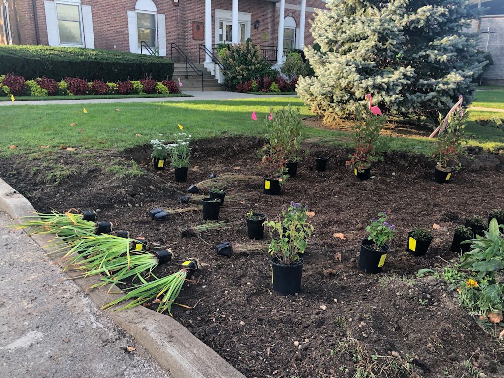 Curb cut finalized. Planting Irises close to main water flow.
