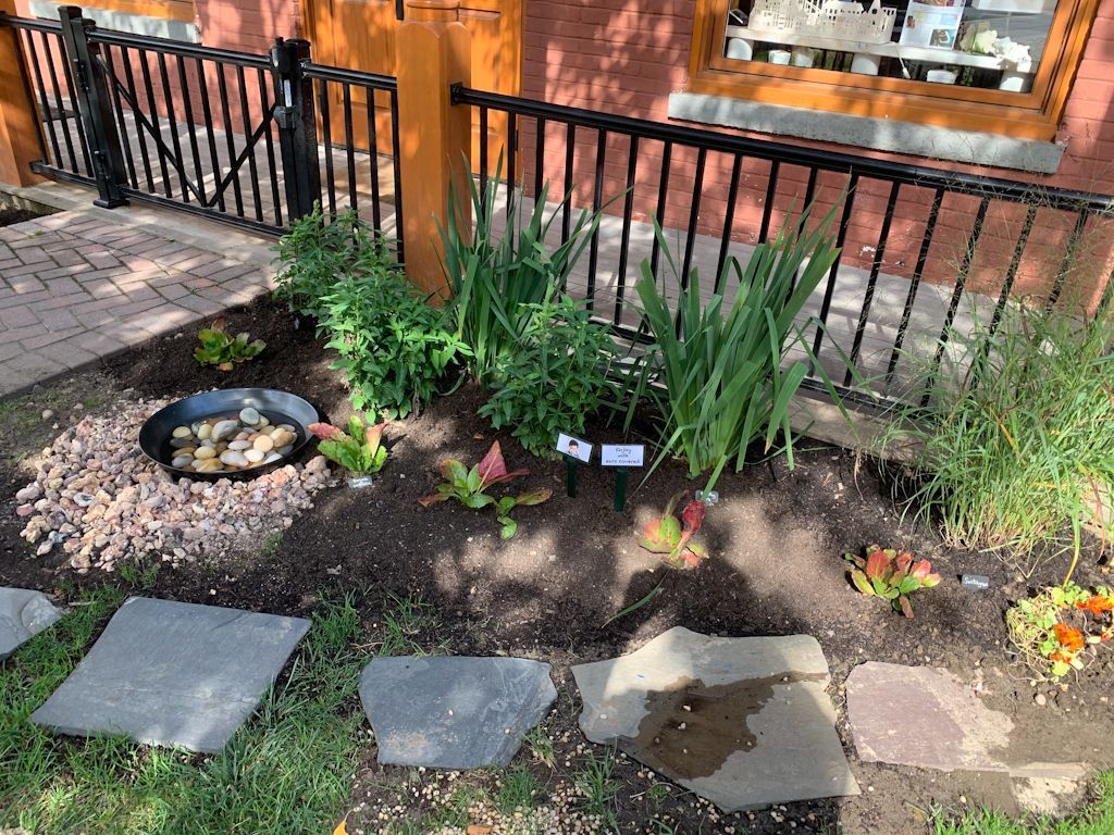 Close up of the garden
