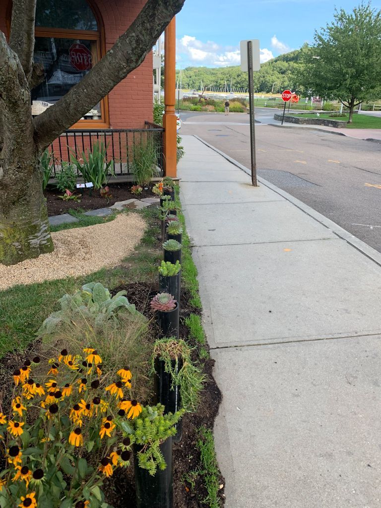 Sensory Garden Installed plants