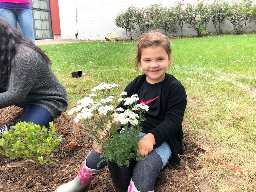 Young Volunteer enjoys the Yarrow plant.