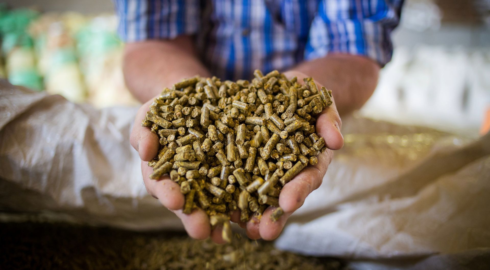 Silopack de forraje tecnificado para ganado