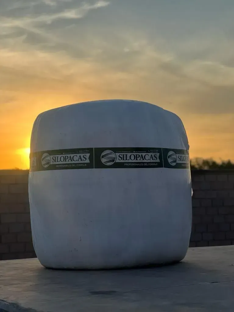 Forraje tecnificado Silopacas listo para distribución