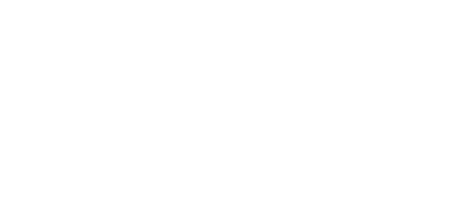 California Association Institute logo