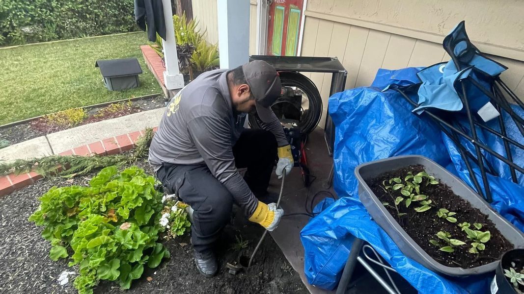 Person gardening, using a hand tool, next to leafy plants, and a container with seedlings.