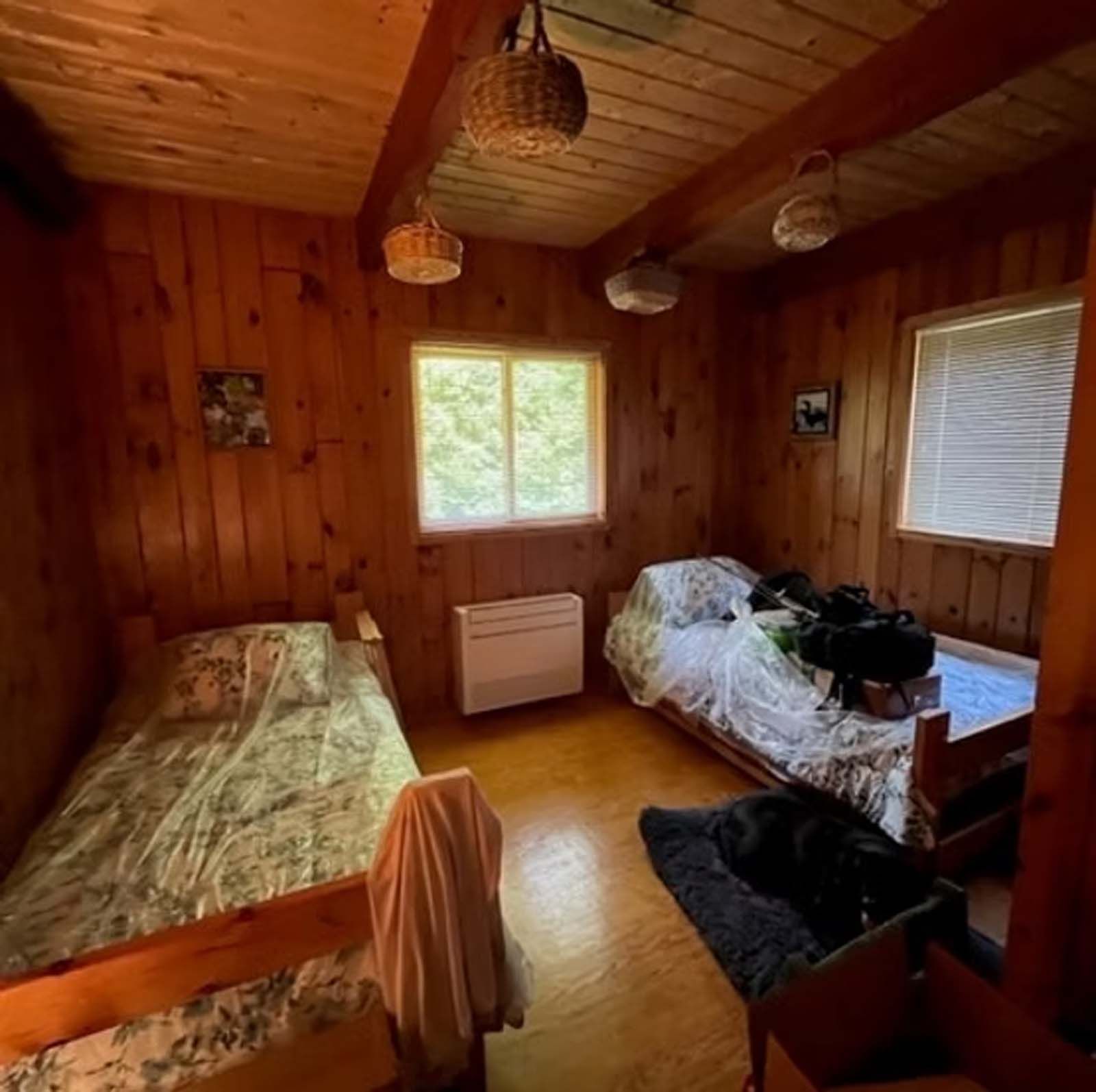 A bedroom with two beds and a dog in it.
