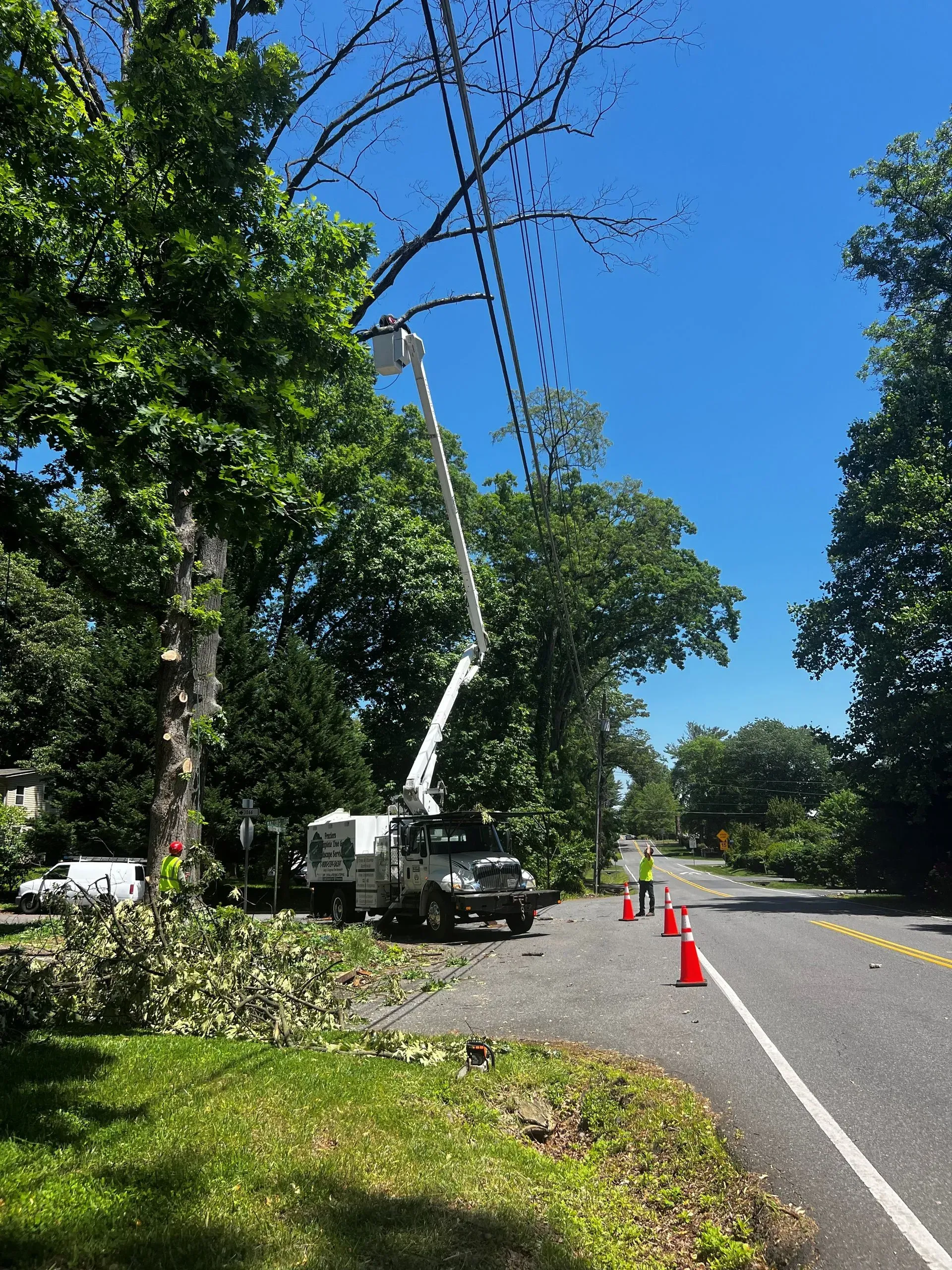 A tree trimming truck with its boom extended, trimming branches near power lines on a sunny road.