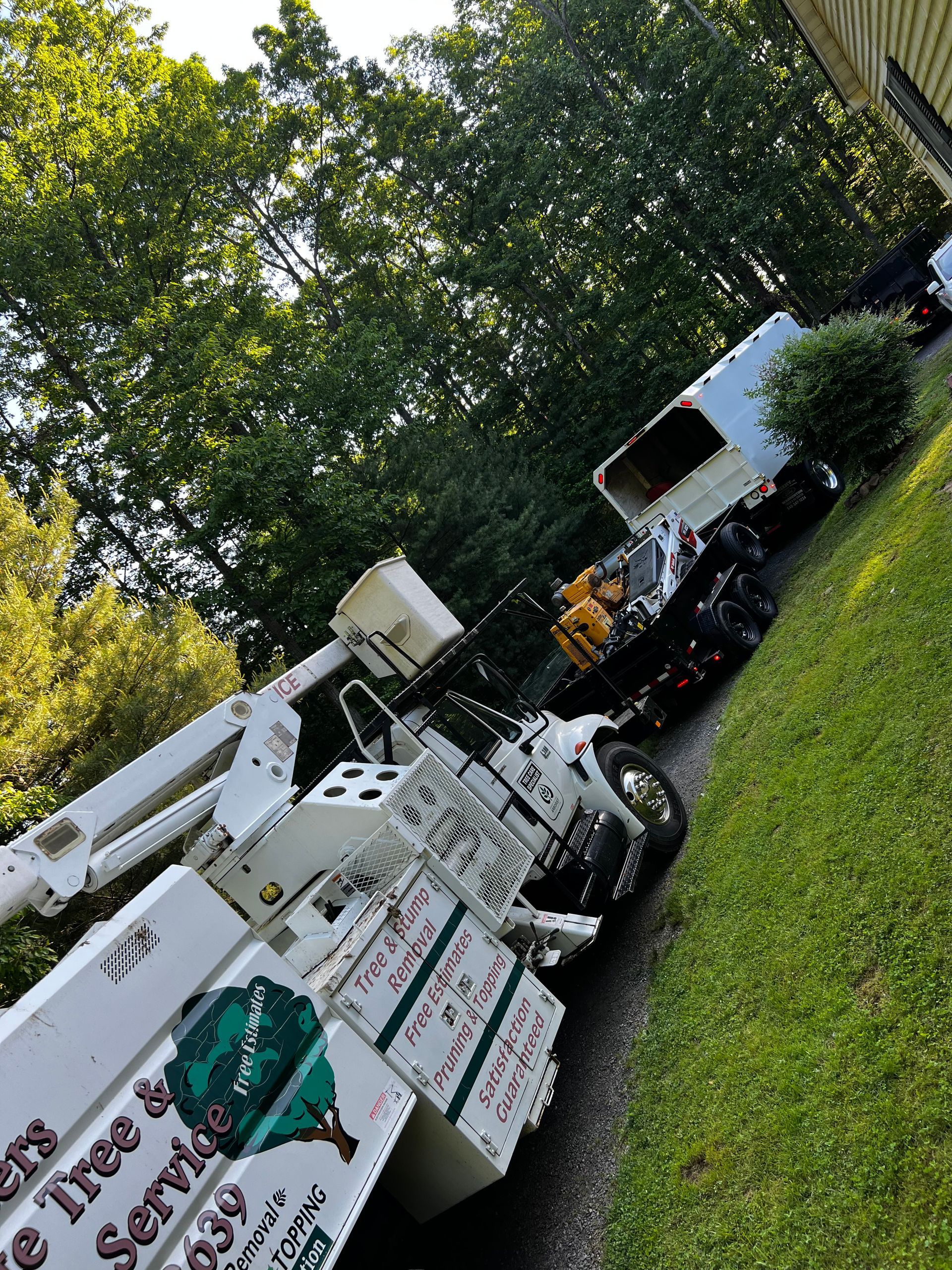 Tree service truck with extended crane parked on a grassy hillside, ready to trim trees.