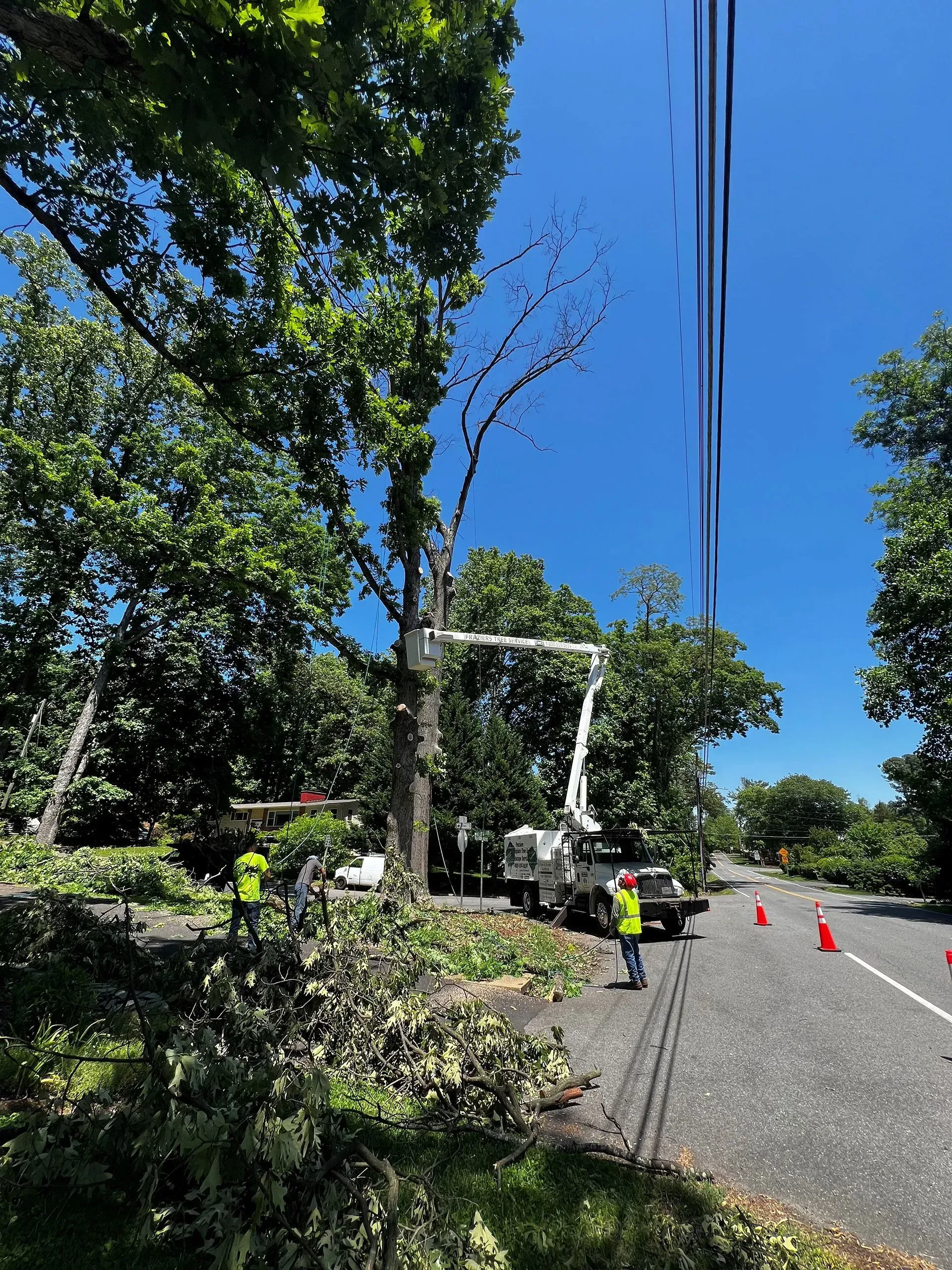 Linemen trim tree near power lines on a sunny day. A truck with a lift is positioned on the roadside.
