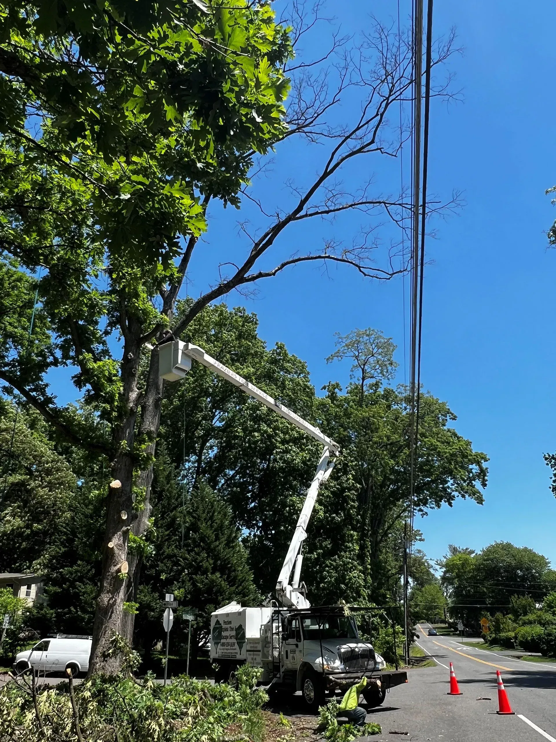 Tree trimming truck with extended arm near power lines, workers, blue sky, road, and greenery.