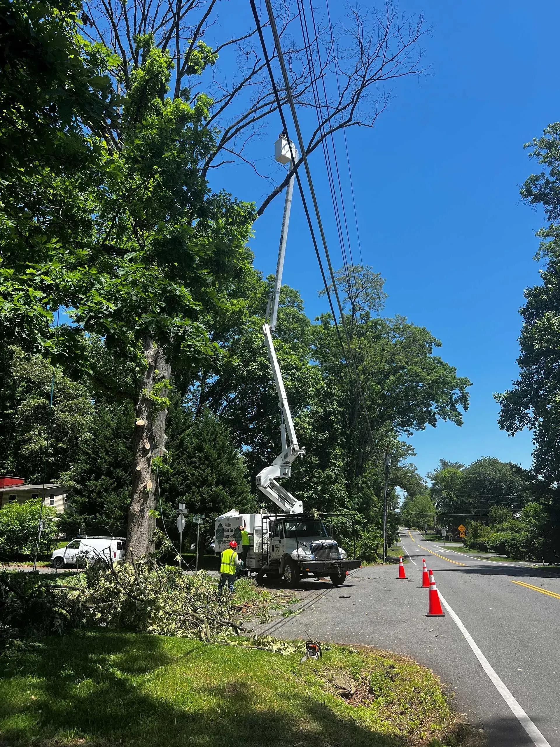 Linemen in bucket truck trimming tree branches near power lines on a sunny day.
