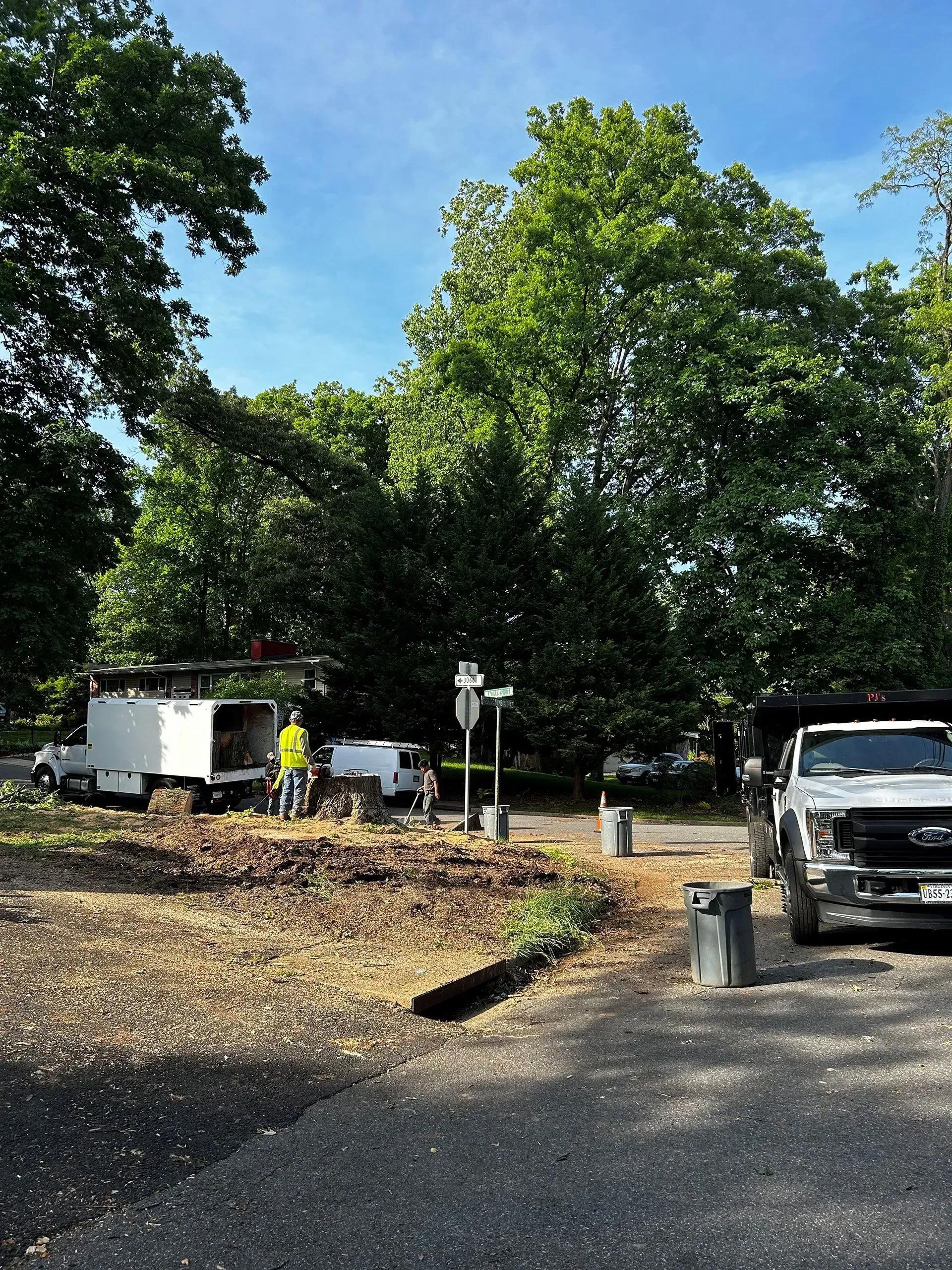 Tree service workers near a tree, with trucks and debris on the ground; sunny day.