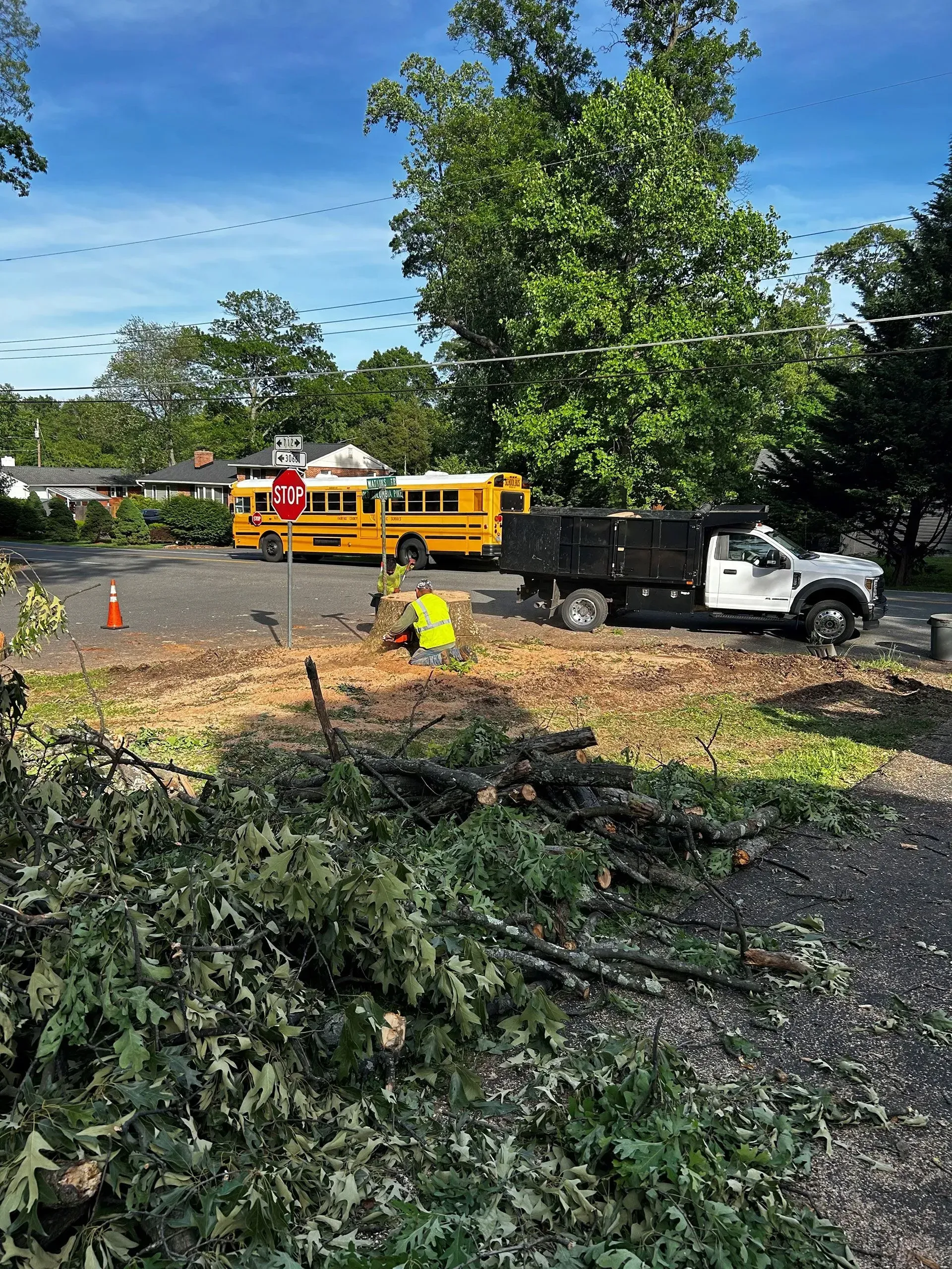 Man in yellow vest cuts wood near school buses and a truck.