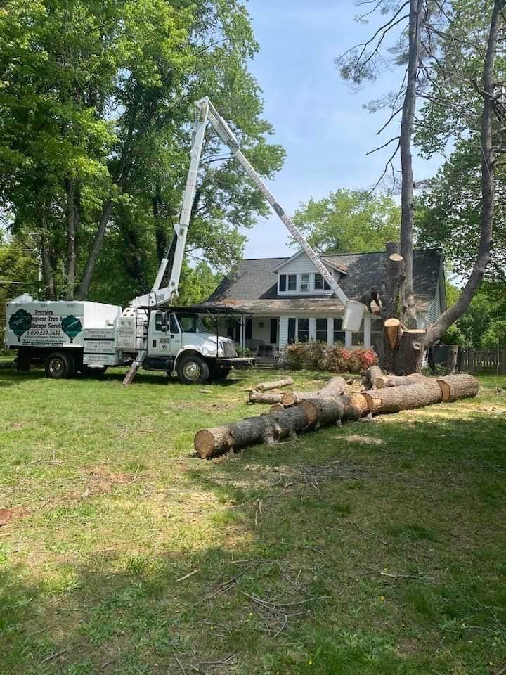 Tree service truck trimming a tree near a house. Logs lie on the grass.