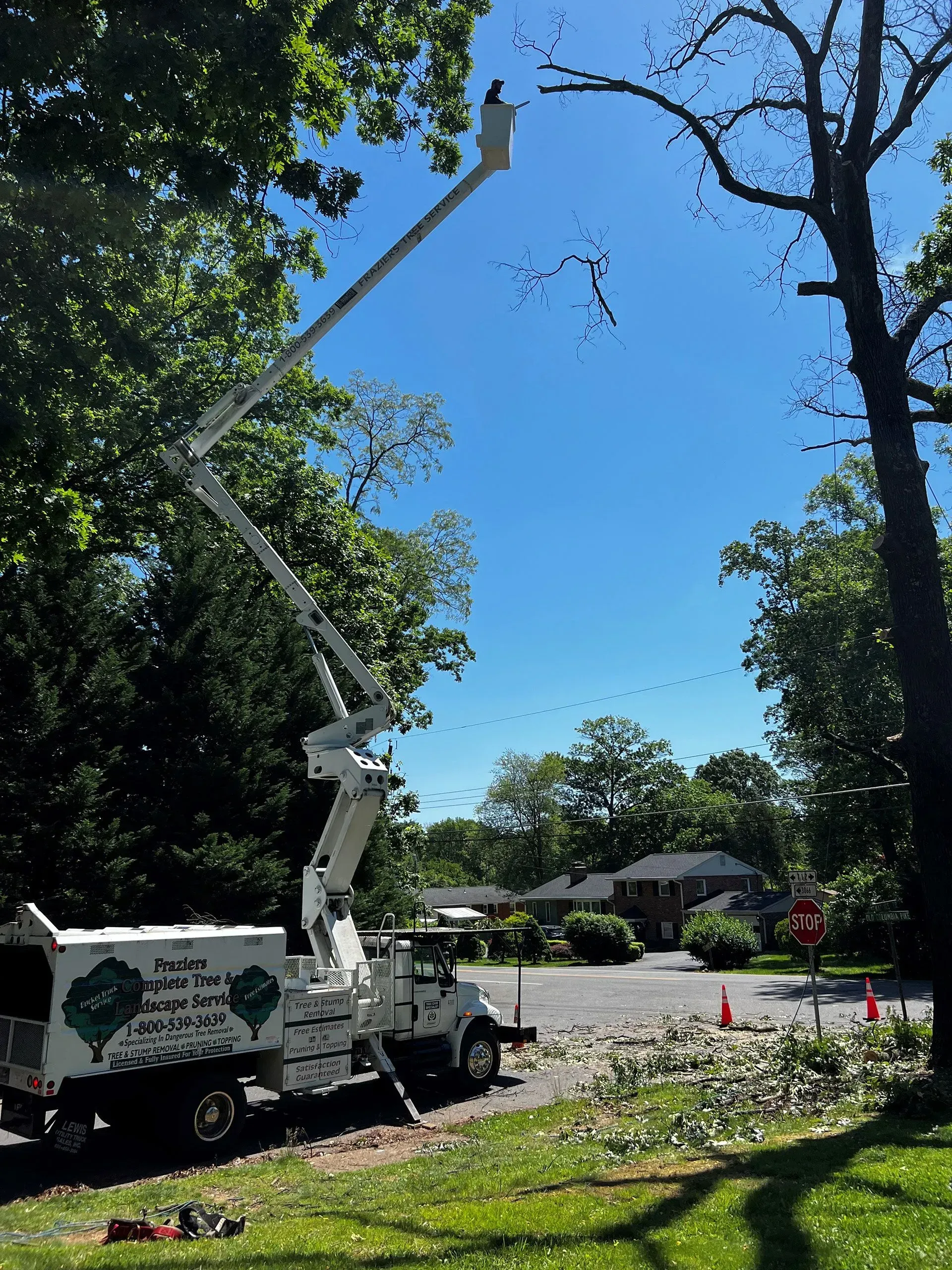 A tree service truck with a raised lift trimming branches in a sunny residential neighborhood.