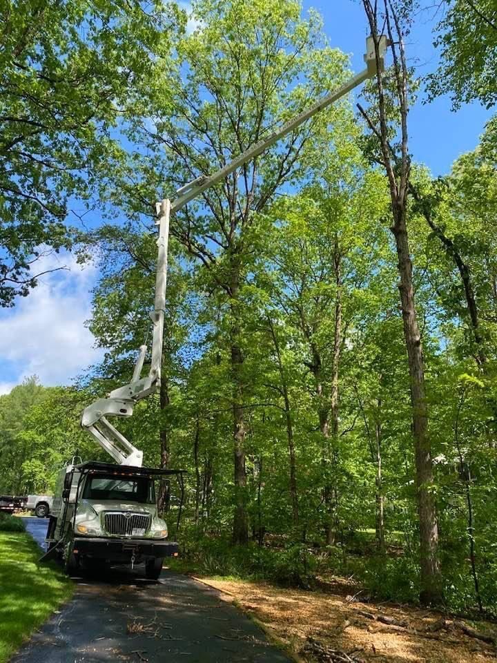 A tree service truck with its arm extended to trim a tree next to power lines; set in a wooded area.