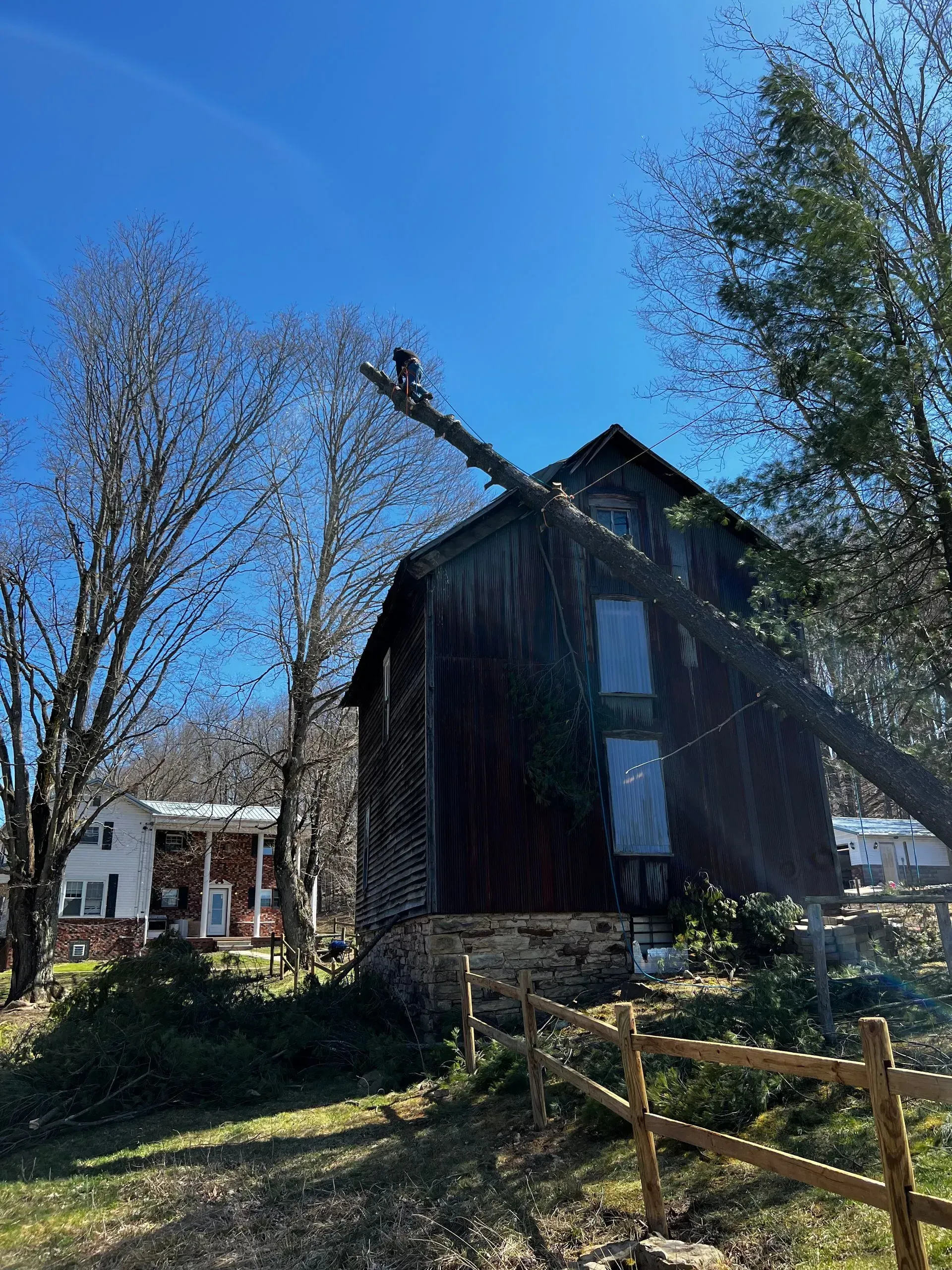 Old barn with a fallen tree limb, sunny day.