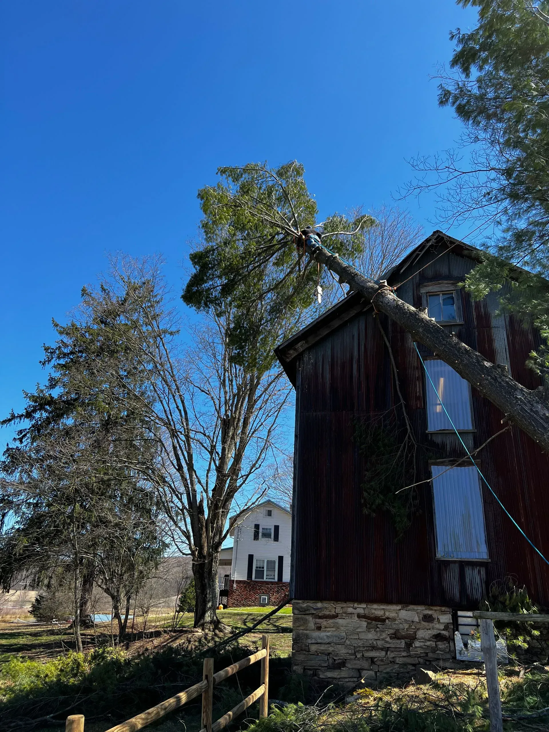 Old red barn with a leaning tree, clear blue sky, and a distant white house.