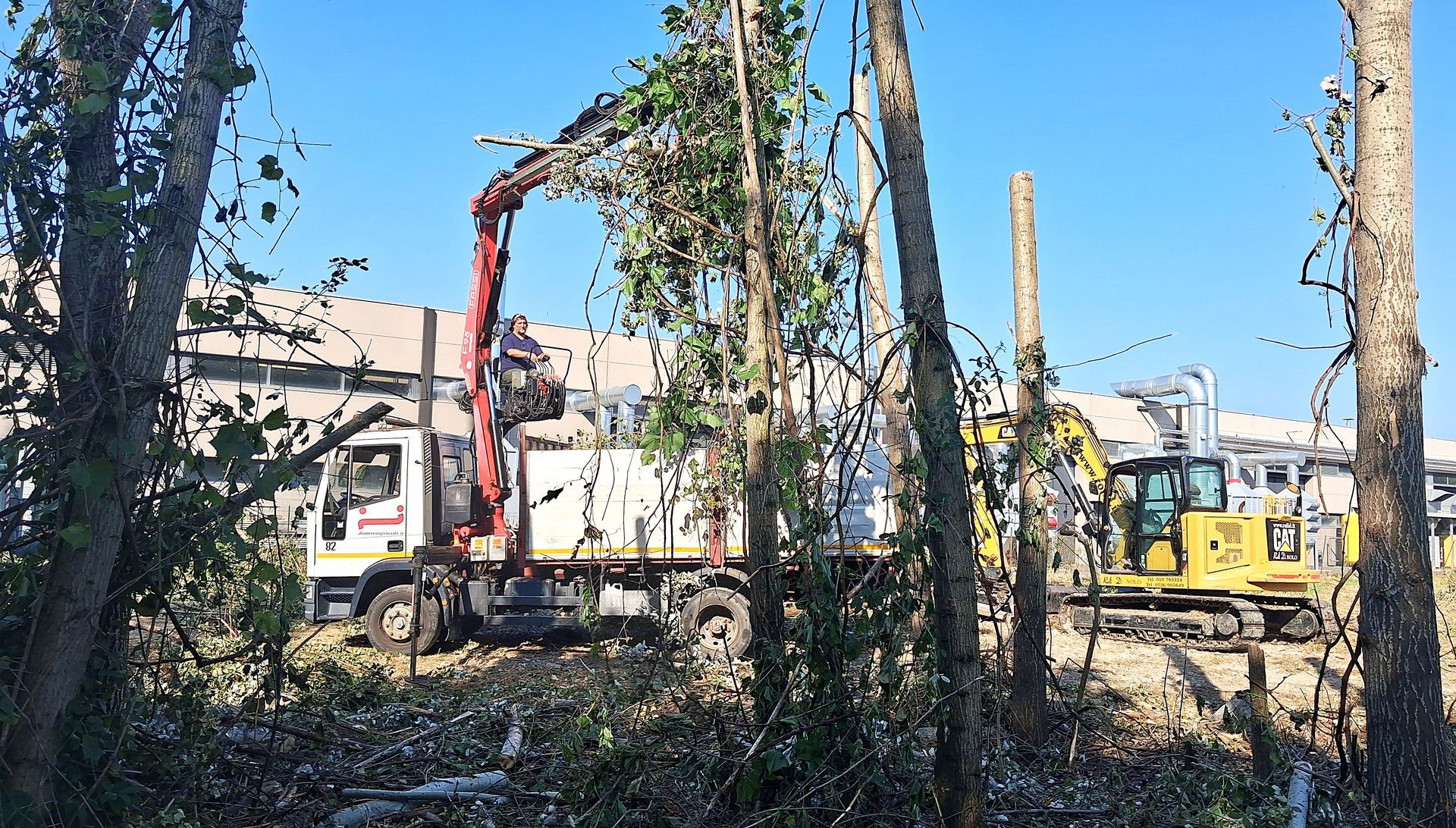 Camion con gru ed escavatore che sgombera gli alberi vicino a un edificio.