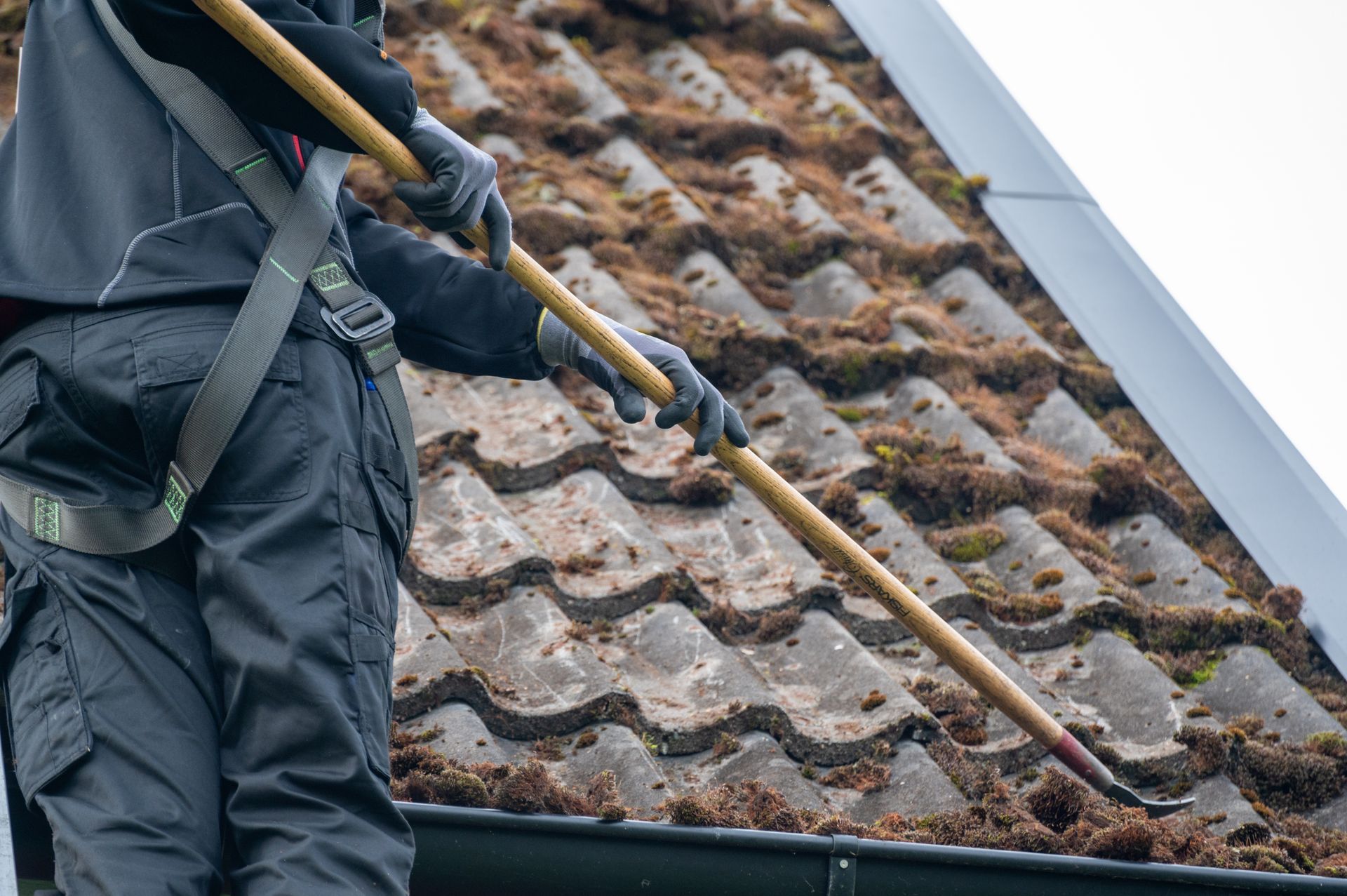 Person on a roof removing moss from tiles with a long-handled tool, wearing a safety harness and gloves.