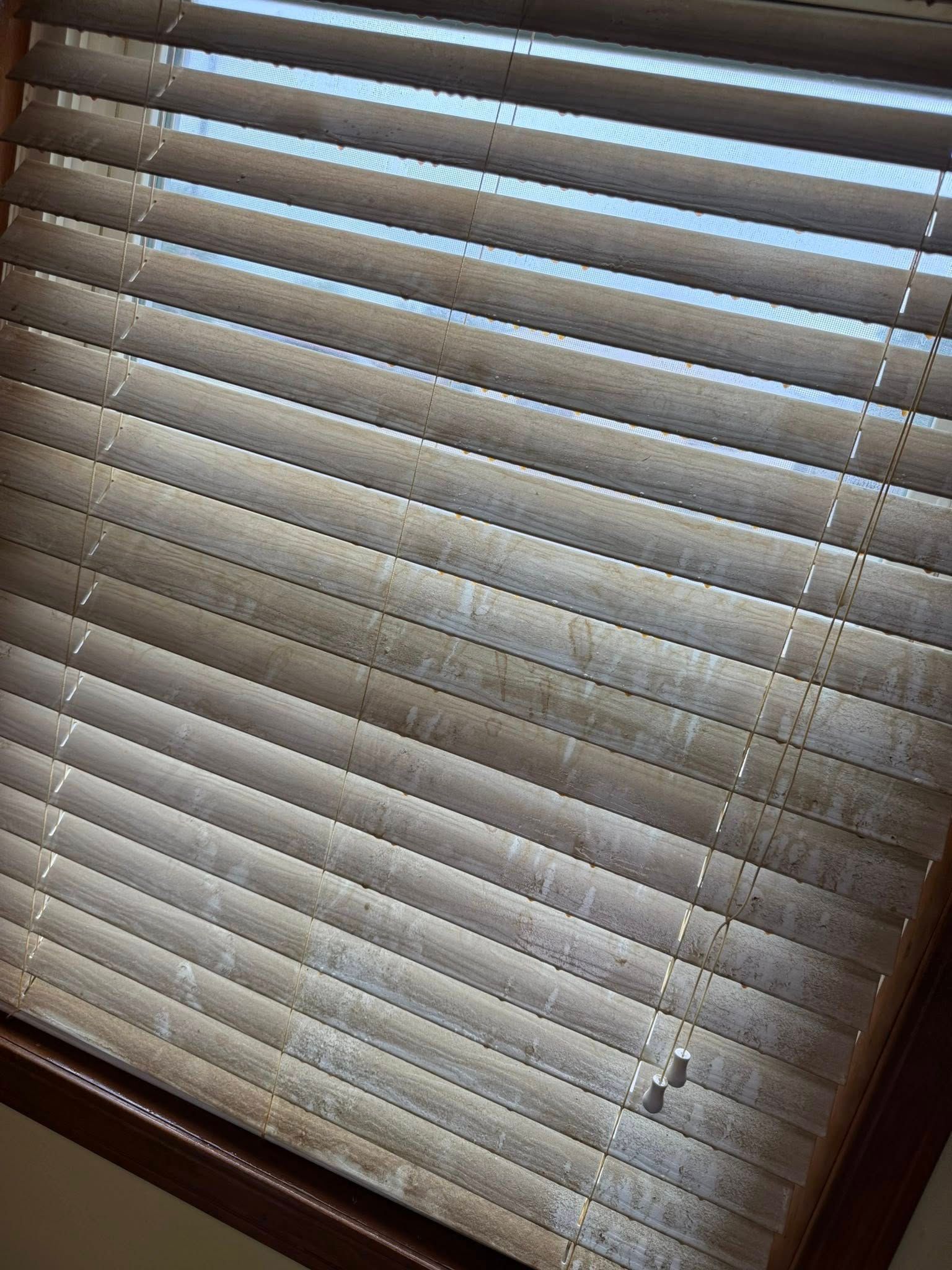 Partially open white window blinds with sunlight filtering through