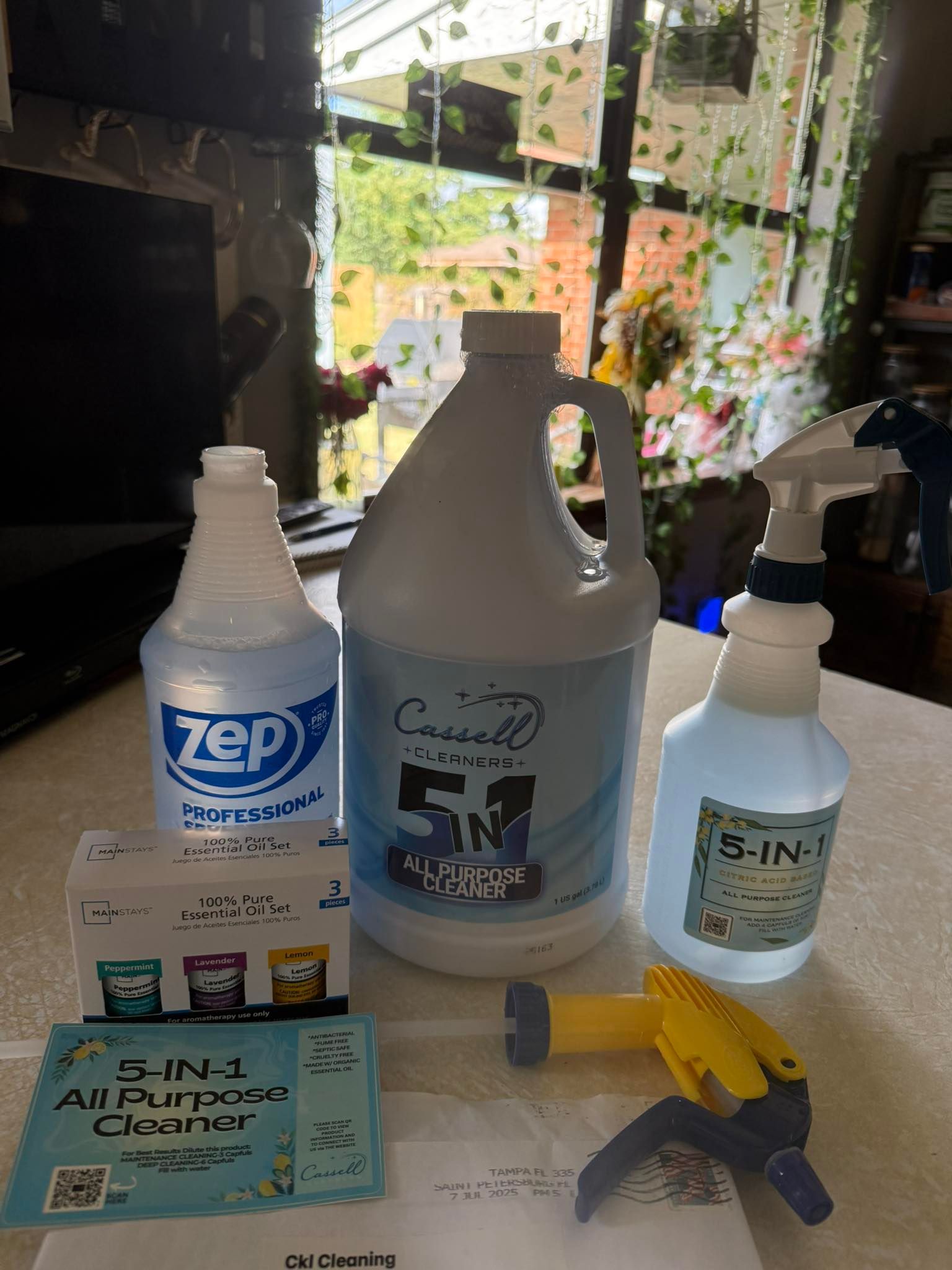 Cleaning supplies arranged on a table by a window, including Zep, Spray Nine, and a spray bottle.