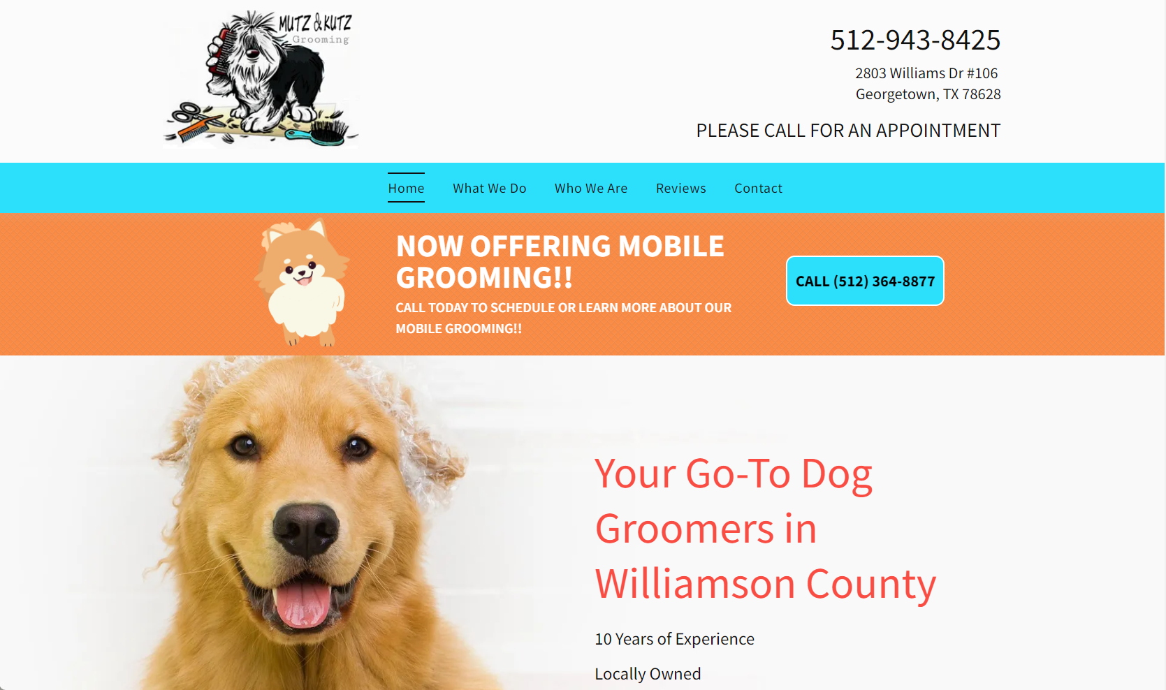 cute dog grooming website
