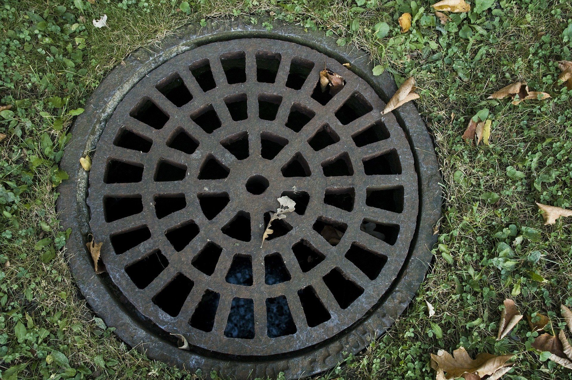 drainage | Bluey's Plumbing & Gasfitting