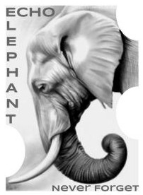 A black and white drawing of an elephant says echo elephant never forget