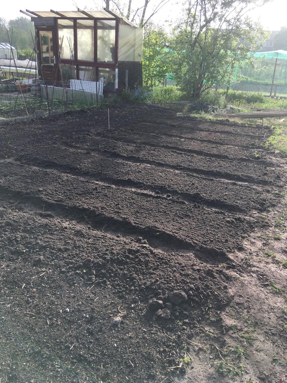 moestuin starten