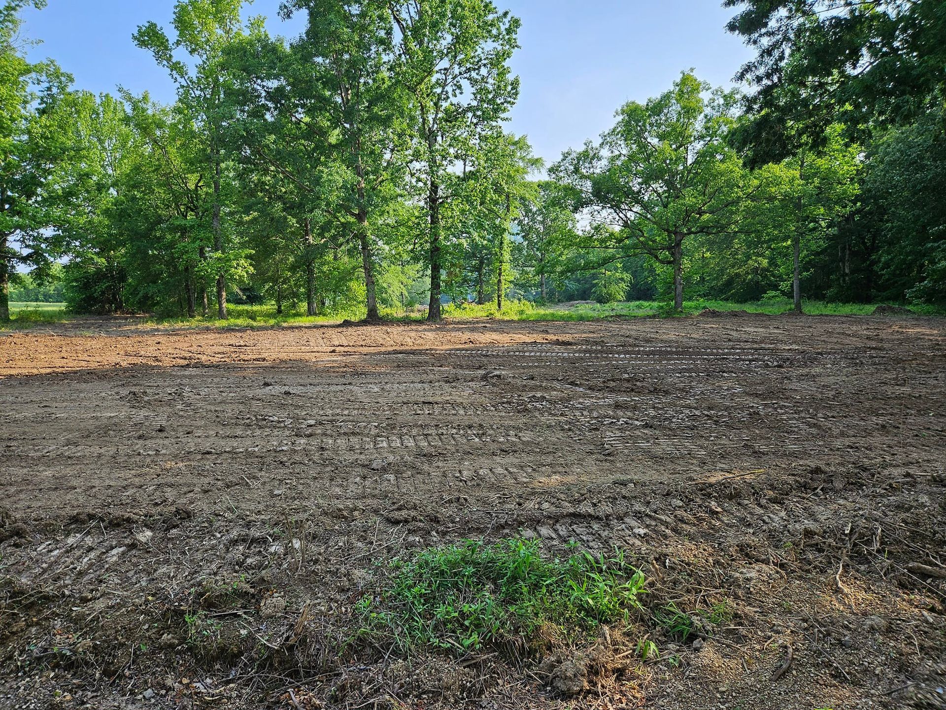 Plowed field in front of a line of trees; green foliage, brown soil, bright sunlight.
