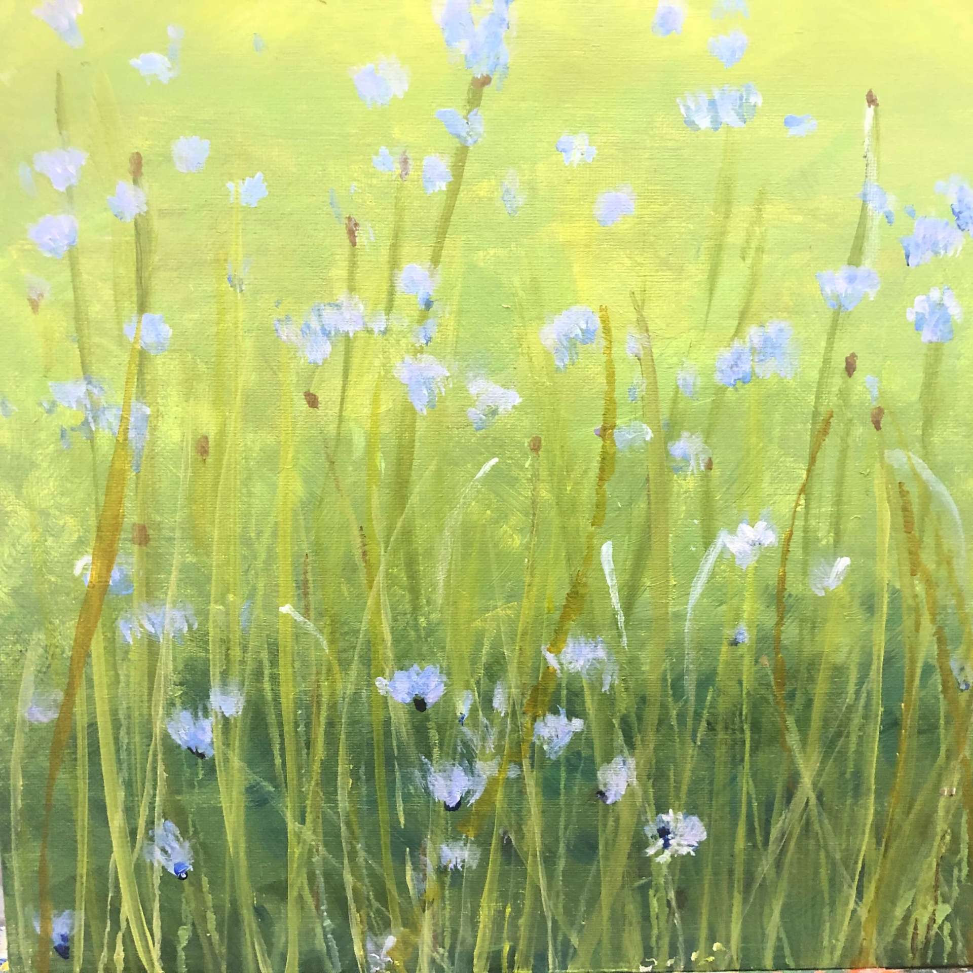 Field Study painting by Joseph Teresi available at The Conn - Artist Studio and Gallery in New Baltimore