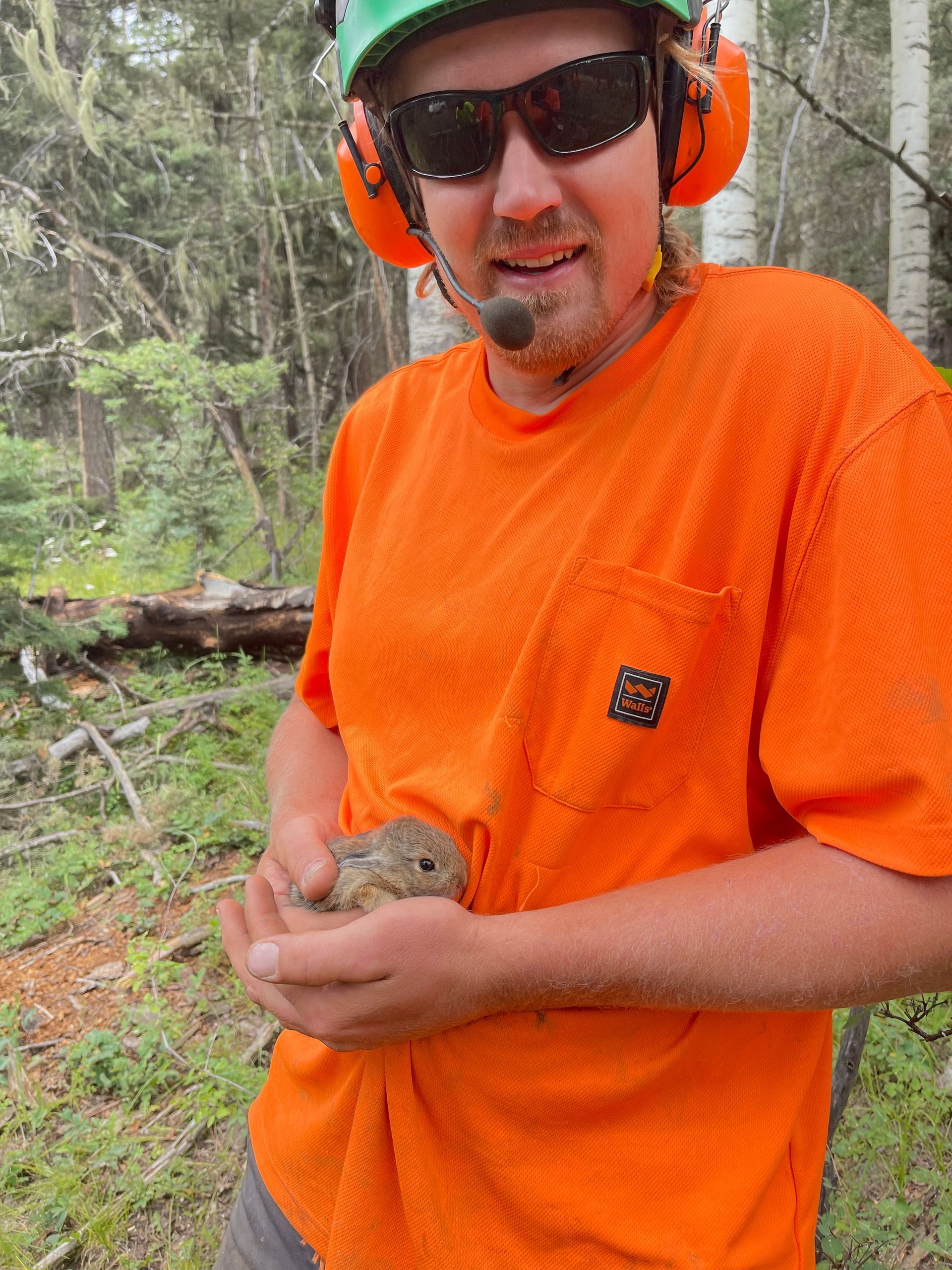 Taos Tree care provider, Eddy Honea, standing in the forest, holding a baby bunny, and wearing an orange t-shirt, sunglasses, and hard hat and ear protection.