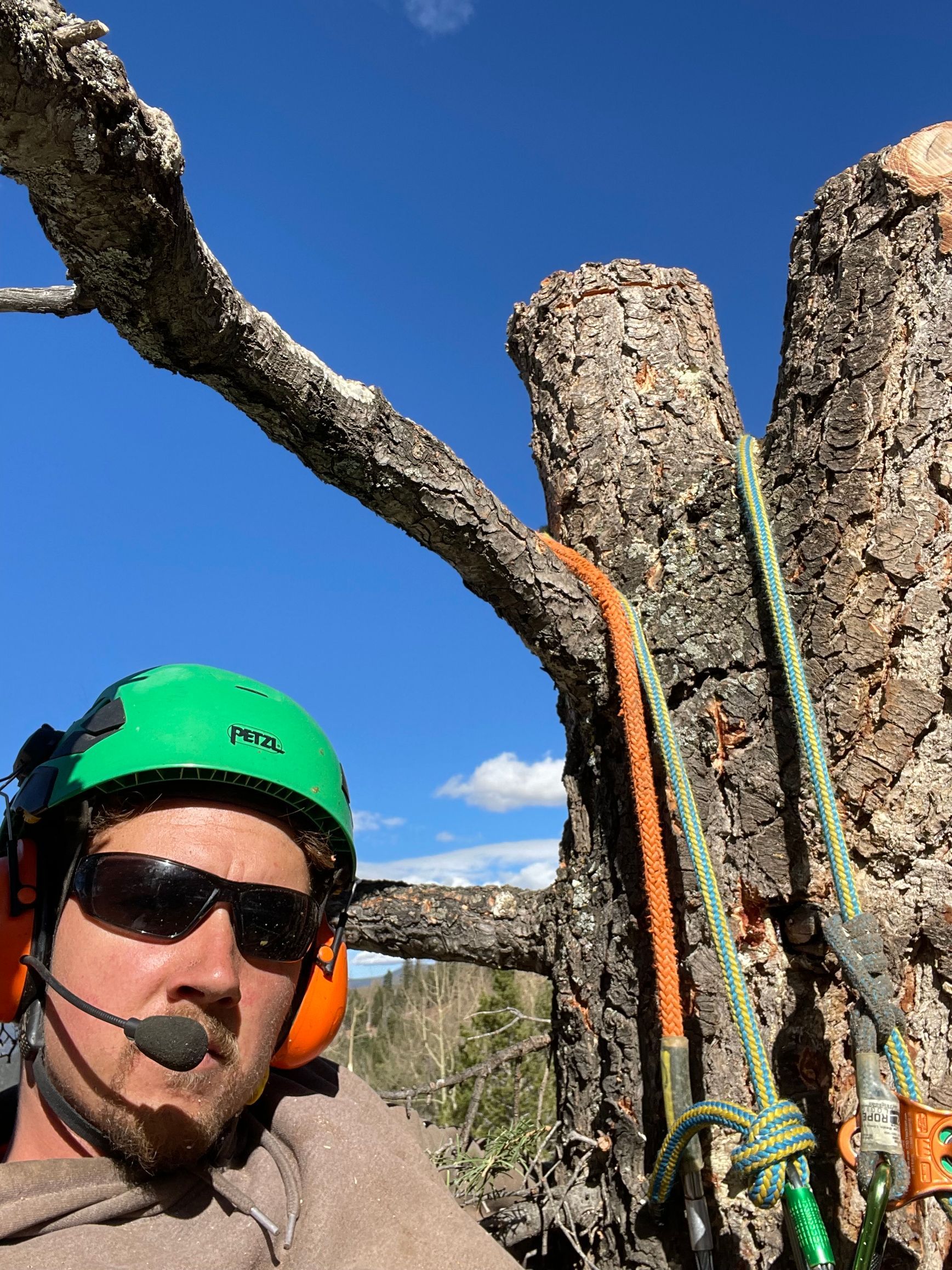 Taos Tree care provider, Bendix Cunnyngham,  in front of tree trunk with green hardhat, sunglasses, ear protection and microphone.