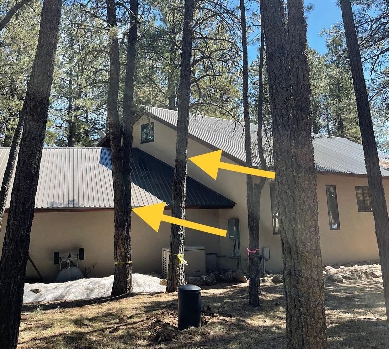 Before Taos Tree removed several trees from in front of a large territorial style stucco home in a forested area.