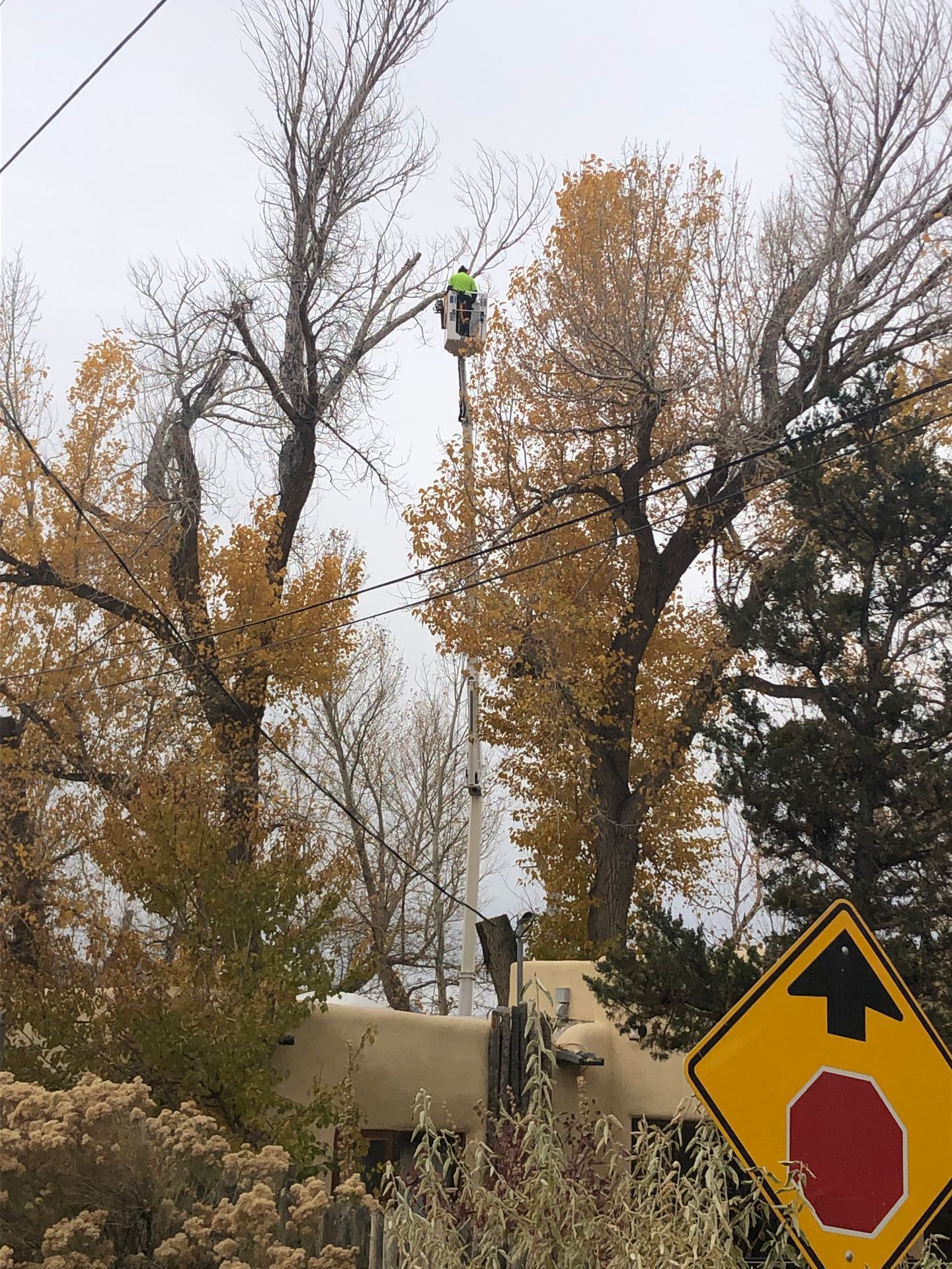 A tree trimmer in a spider lift up high over power lines and an adobe home in Northern New Mexico.